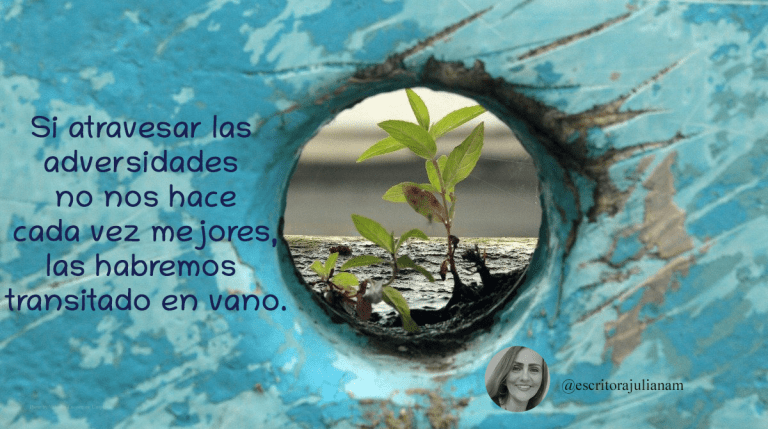 planta creciendo en medio de condiciones adversas
