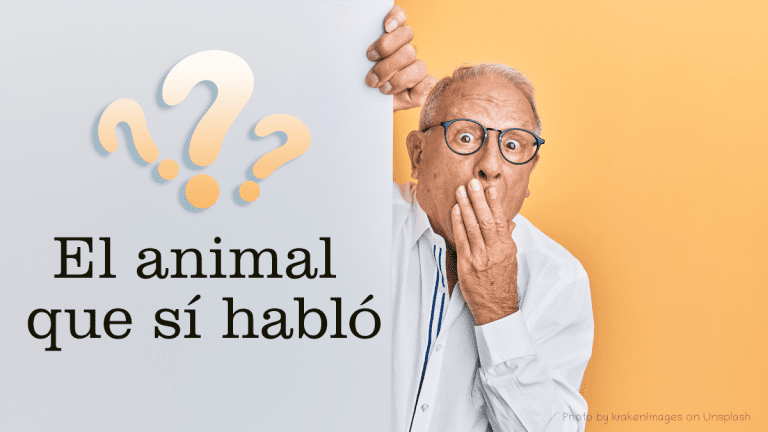 Sorprende que un animal hable