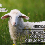 somos ovejas
