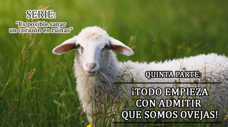 somos ovejas