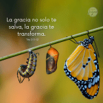 La gracia que transforma